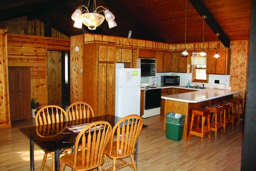 springsteelcabin